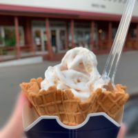 大沼公園の近くにある山川牧場ミルクプラントでアイス！